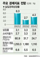 [삼성硏 2004년 경제전망] 환율하락등 부담…내년 성장률 4.3%