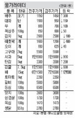 [주간 물가 레이더] 상추·감자·대파값 일제히 내려