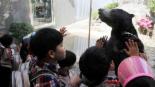 ‘동물원 탈출’ 말레이곰, 새 집 공개 ‘이젠 도망 못가’