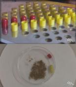 중국 인육캡슐 유통, 가정집 냉장고에 죽은 아기 보관 '충격'