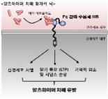 서울대, 알츠하이머 치매의 새로운 치료표적 단백질 발견