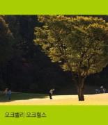 [Golf is Life] 오크밸리/원주 오크힐스CC