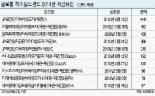 틈새시장 ‘글로벌 하이일드펀드’ 수익 쏠쏠