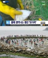 봄 도다리란, 남해군 도다리 쑥국 축제 개최 ‘봄 내음 물씬’