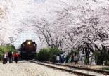 벚꽃 나들이, 코레일이 선정한 ‘전철역 주변 벚꽃길 5선’