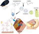 갯지렁이, 홍합의 능력 뽑아낸 수중 의료접착제..세계 첫 개발