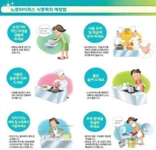 겨울 장염 증상, 겨울 유행 노로바이러스 예방법은?