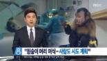 원숭이 머리 이식 성공, 내년 12월 사람 수술 도전 “머리 통째 이식‘