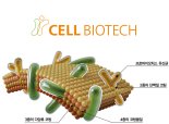 쎌바이오텍, 유산균 듀얼코팅 기술 중국 특허…중국 건기식 시장 본격 진출