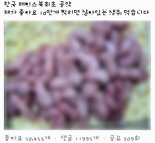 페북 ‘좋아요’가 뭐길래.. 생쥐 산채로 먹는 영상 논란