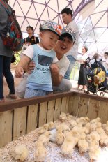 렛츠런파크 부산경남, 어린이 식물원 ‘토마의 정원’ 개장