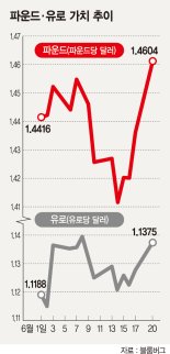 [브렉시트 국민투표 D-2] 파운드화 가치 급반등했지만.. 세계금융시장 변동성 최고조