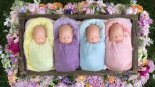 '일란성 네쌍둥이' 탄생.. 공동 육아 나선 캐나다 마을