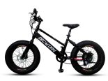 알톤스포츠, 전기자전거 ‘데카콘’ 한정판매