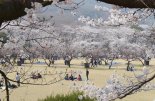 순천향대 국립경찰교향악단 초청 ‘벚꽃음악회’
