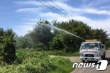 “고창읍성·해안가 소나무 숲 주변 장독대 닫아주세요”... 산림병해충 지상방제