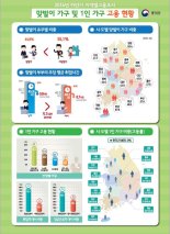 맞벌이 가구 전체의 45%...1인가구 열에 여섯은 '기러기'