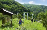 승학산 '치유의 숲길' 걸어보세요