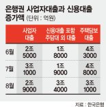 주택대출 규제 피하려 꼼수대출, 강제 상환한다