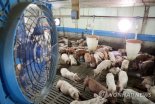 익산시, '축산악취 줄이기' 나선다...배출농장 단속도 '강화'
