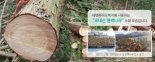 케모포비아 확산, 가족 안전 위한 천연벽지 시공 증가