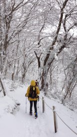 제주신라호텔, 한라산 설경에서 즐기는 ‘눈꽃 트레킹’ 인기