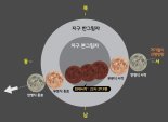 내년 개기월식 2번 본다…12월엔 유성우 쏟아진다