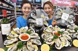 제철 굴, 칠리소스와 함께 맛보세요