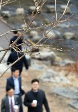 '경칩', 산책하는 시민들