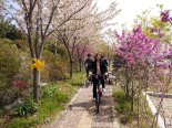 김해 봉하마을 '대통령의 자전거길'을 전기자전거가 달린다