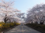 [현장르포] SK인천석유화학, 과감한 투자로 위기 극복.. 이젠 인천 경제 버팀목으로 변신