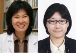 제주대, 항암제 내성기전 후성유전학적 측면서 규명