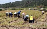 농촌 인력난 해결 '제주농업인력지원센터' 출범