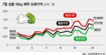 폭염에 배추가 ‘금추’… 김장 어쩌나