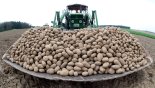 유럽, 감자 부족으로 튀김 길이 짧아지나?