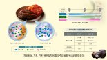 겨울 김치가 더 맛있는 이유 밝혀졌다...'류코녹스톡' 유산균 더 많아