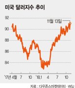 [한국경제 우울한 전망] "믿을건 미국뿐" 치솟는 달러