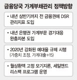 [규제 사각지대 P2P 대출] 주택대출 막히자 '기타대출' 급증...내년 제2금융권도 DSR 순차 도입