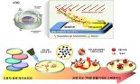 KAIST, 암 줄기세포 제작 원천 기술 개발