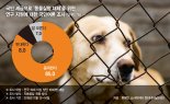 "동물실험 이제 그만"… 지난해 한국에서 300만 마리 희생