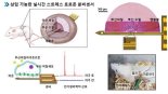 체내 삽입형 스트레스 호르몬 센서 개발