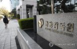 금감원, 검사체계 효율화 "종합검사 전후 부분검사 면제·CEO 승계프로그램을 운영"