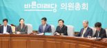 선거제 개혁 주춤, 한국당 "국민께 묻자" 바른미래 "내부 이견"