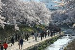 울산경찰, "벚꽃축제 몰카 주의하세요"