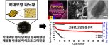 리튬황전지 안정성 높이는 황 입자화 공정개발