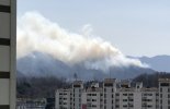충남 아산 설화산서 불…"바람 탓에 진화 시간 걸릴 듯"