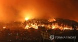 대형 산불로 조림면적까지 소실..."숲 보전 고민해야"