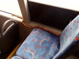 버스 좌석에서 발견된 뱀에 승객들 '경악'.. 어떻게 된 일?