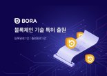블록체인 콘텐츠 플랫폼 보라, 블록체인 기록 삭제하는 특허 출원