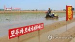 北매체 "알곡생산 증산으로 적대세력에 철추 내리자"